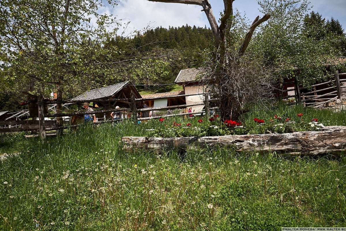 Malga Laner Le malghe di Aldino