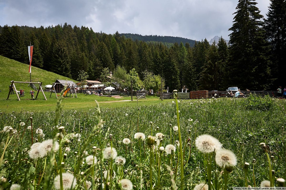 Malga Laner Le malghe di Aldino