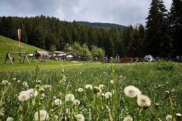 Le malghe di Aldino