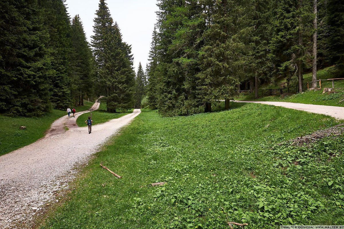 Quale strada? Le malghe di Aldino