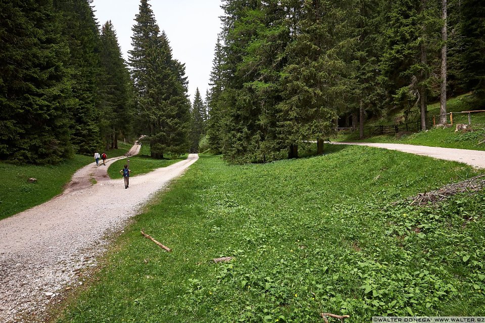 Quale strada? Le malghe di Aldino