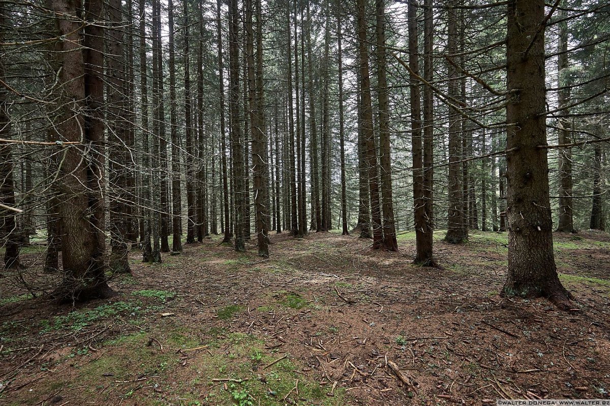  Le malghe di Aldino