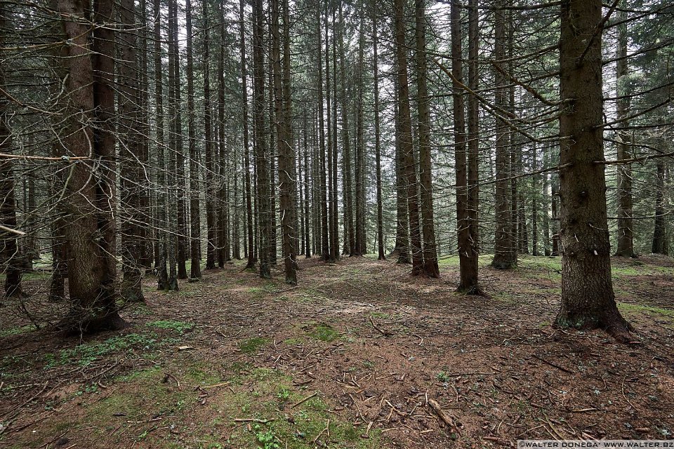 Le malghe di Aldino