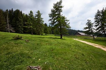 Le malghe di Aldino