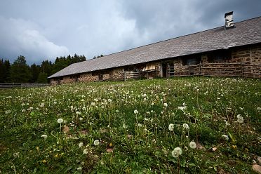 Le malghe di Aldino