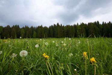 Le malghe di Aldino