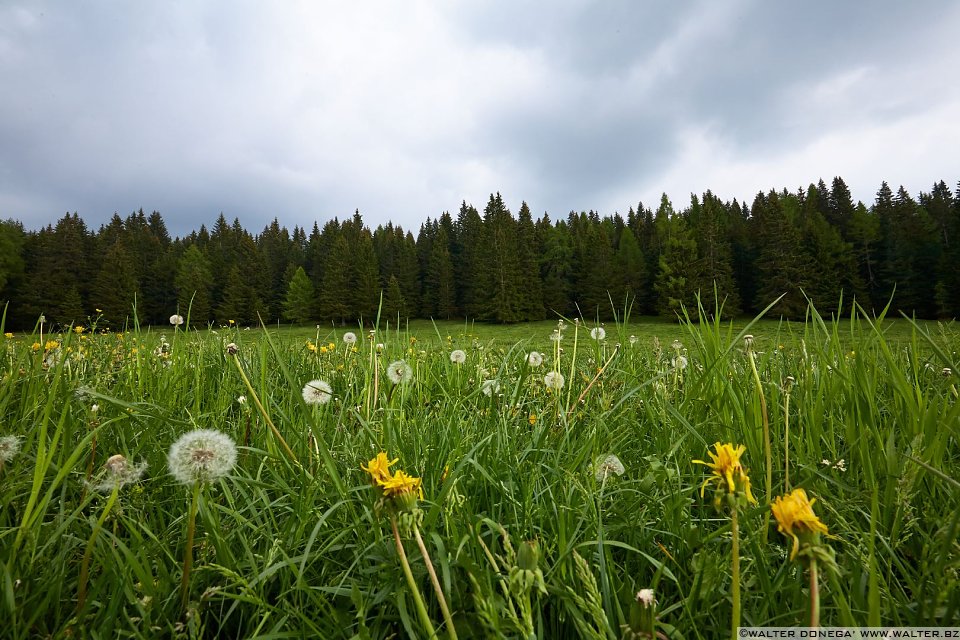 Quant'era verde la mia valle Le malghe di Aldino