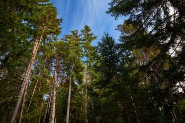 Escursione circolare dei masi di Meltina