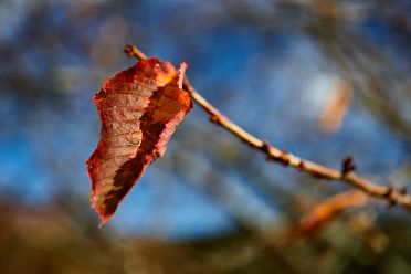 Escursione circolare dei masi di Meltina