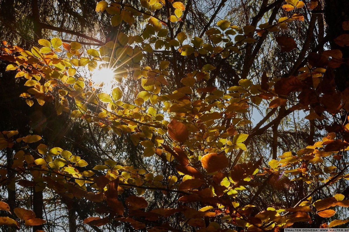  Escursione circolare dei masi di Meltina