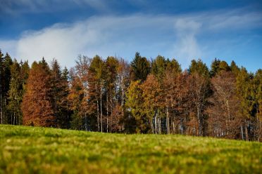 Escursione circolare dei masi di Meltina