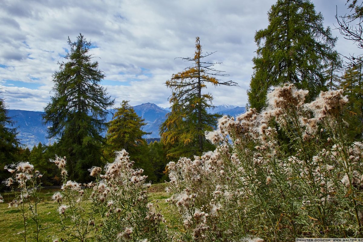  Escursione al Möltner Joch Meltina