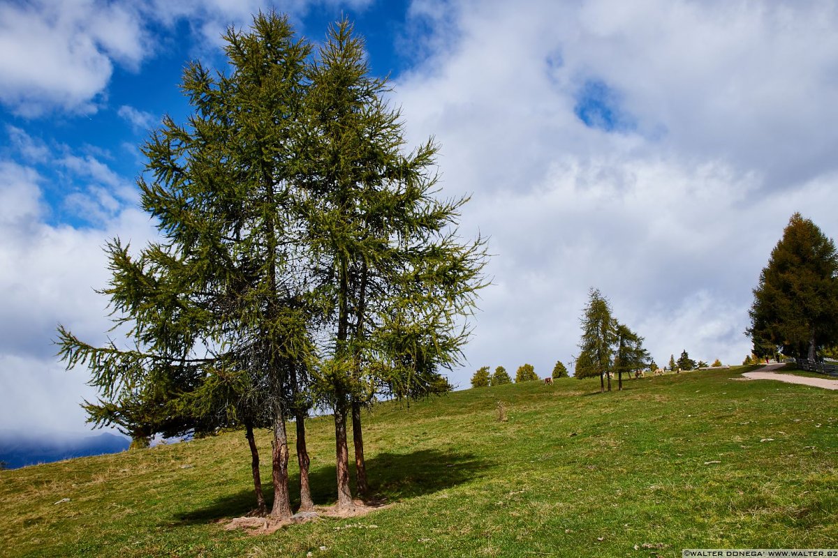  Escursione al Möltner Joch Meltina