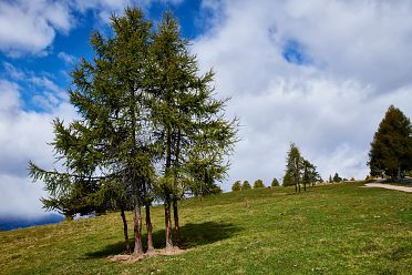 Escursione al Möltner Joch Meltina