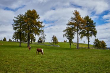 Escursione al Möltner Joch Meltina