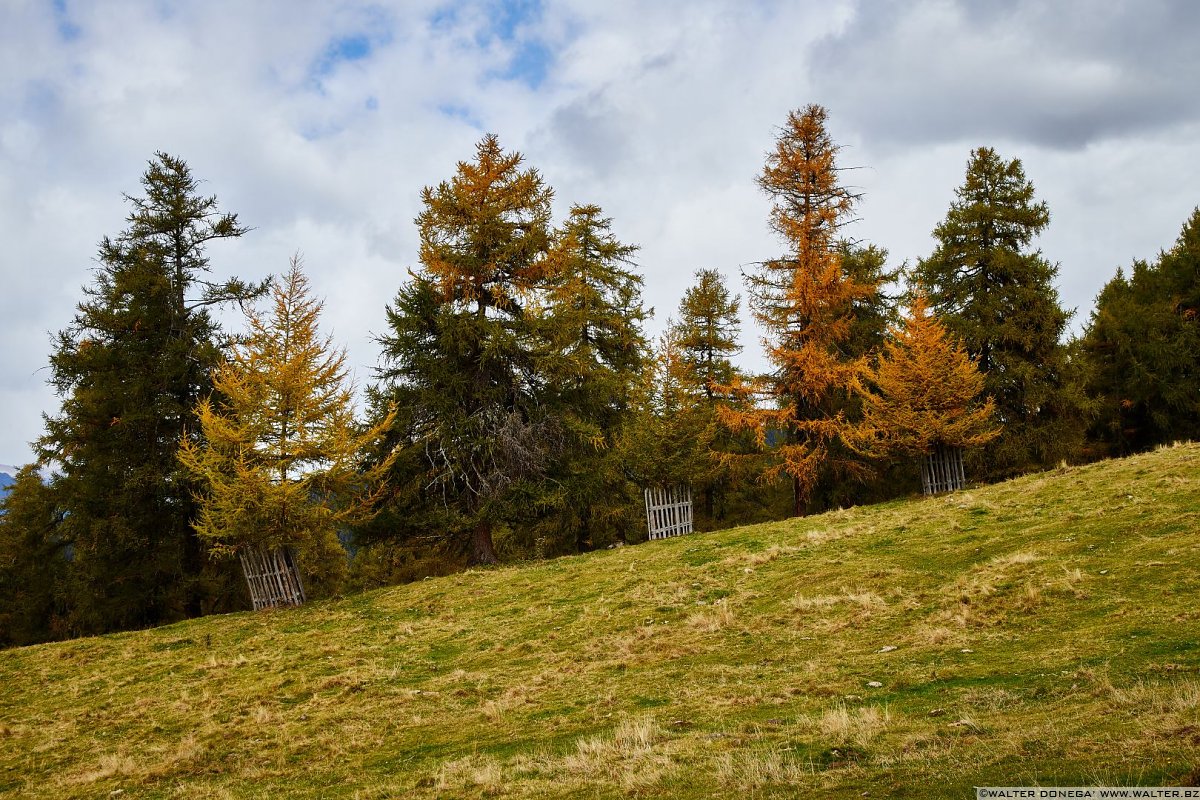  Escursione al Möltner Joch Meltina