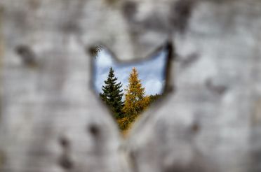 Escursione al Möltner Joch Meltina
