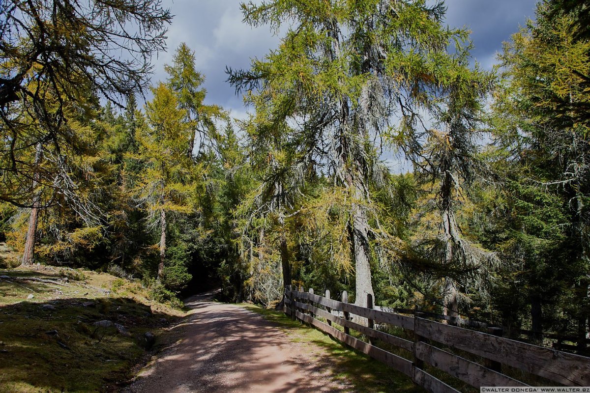  Escursione al Möltner Joch Meltina