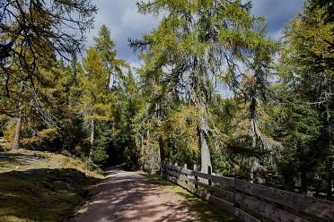 Escursione al Möltner Joch Meltina