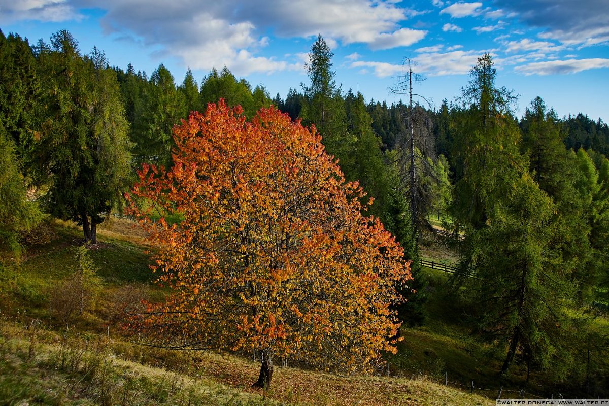  Escursione al Möltner Joch Meltina