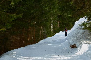 Passeggiata a monte San Vigilio - Vigljoch