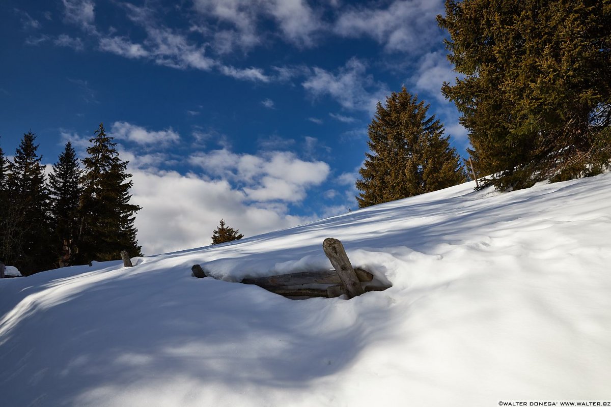 Passeggiata a monte San Vigilio - Vigljoch