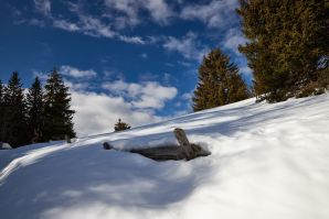 Passeggiata a monte San Vigilio - Vigljoch
