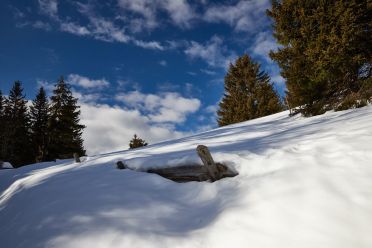 Passeggiata a monte San Vigilio - Vigljoch