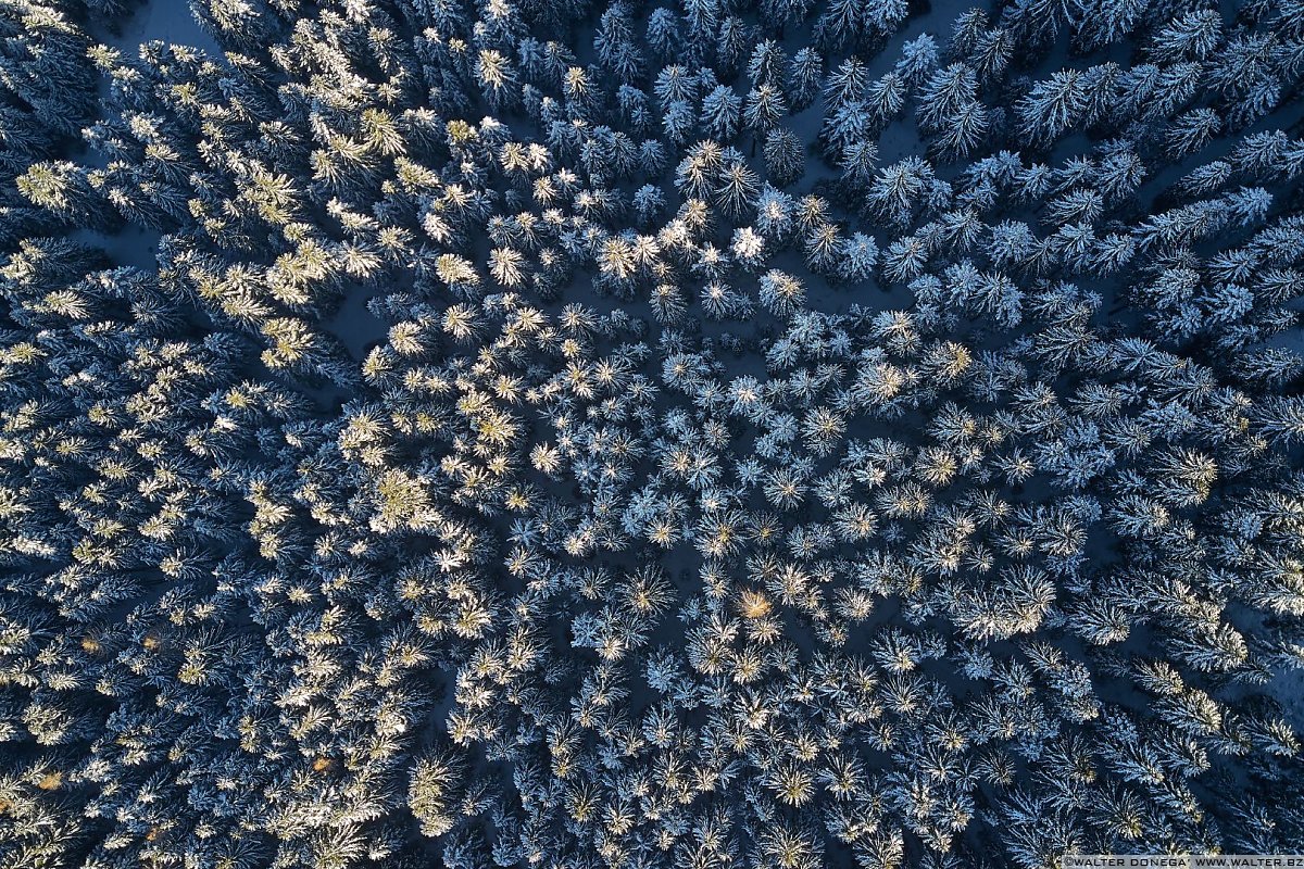  Passeggiata da Obereggen al lago di Carezza con la neve