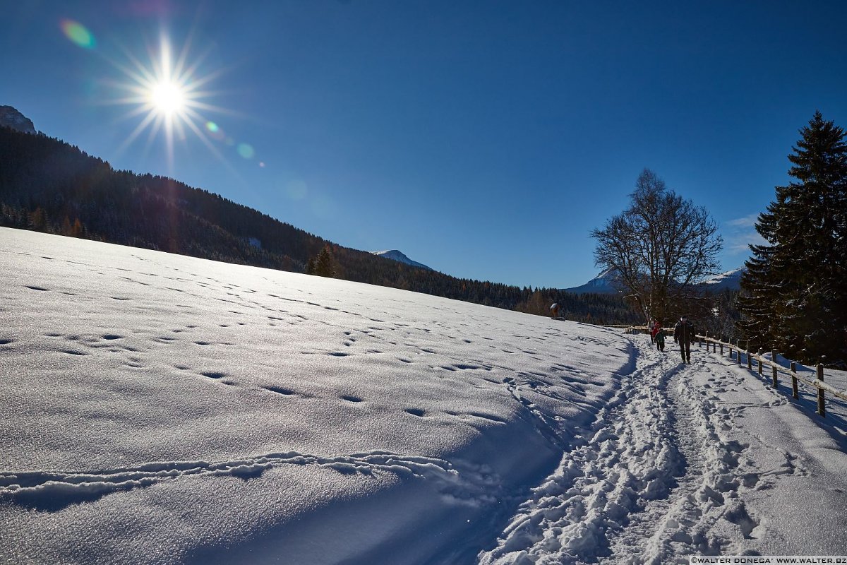  Passeggiata da Obereggen al lago di Carezza con la neve