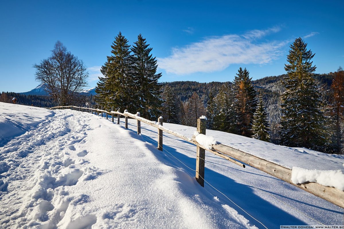  Passeggiata da Obereggen al lago di Carezza con la neve