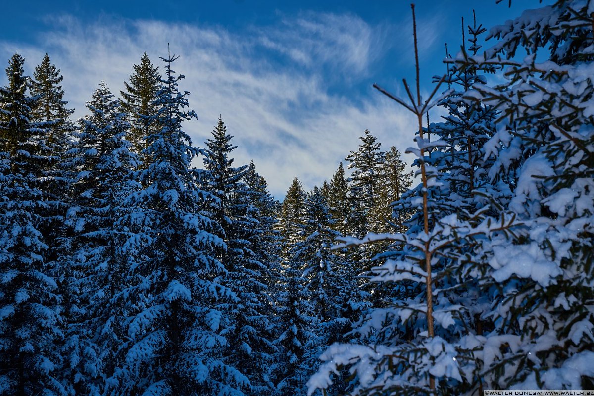  Passeggiata da Obereggen al lago di Carezza con la neve