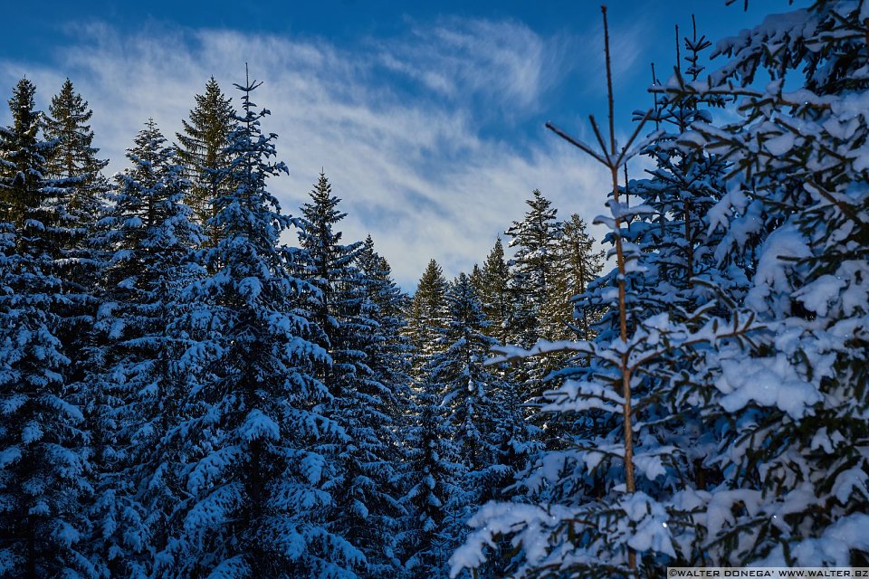 Passeggiata da Obereggen al lago di Carezza con la neve