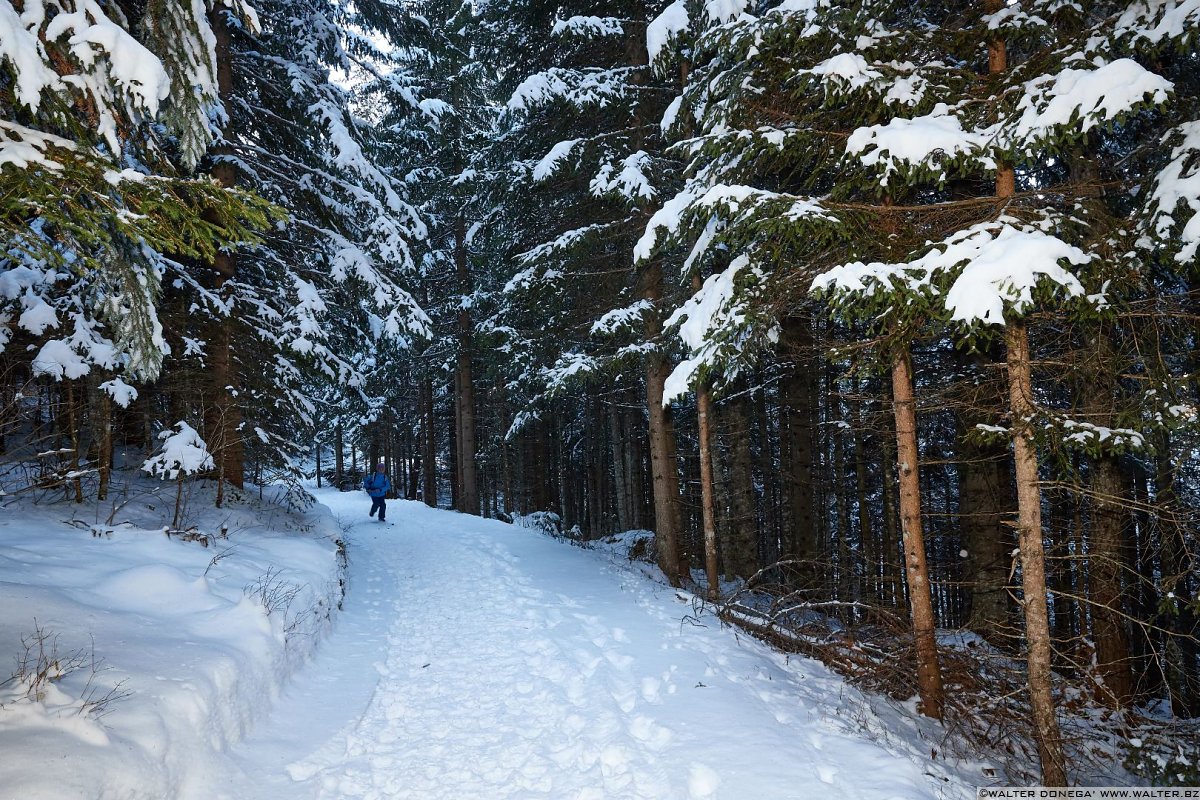  Passeggiata da Obereggen al lago di Carezza con la neve