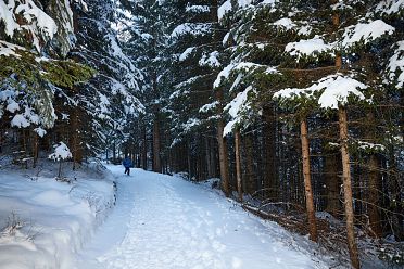 Passeggiata da Obereggen al lago di Carezza con la neve