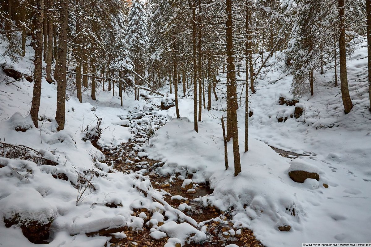  Passeggiata da Obereggen al lago di Carezza con la neve