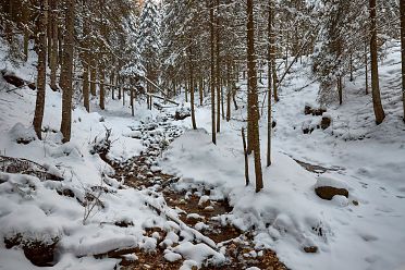 Passeggiata da Obereggen al lago di Carezza con la neve