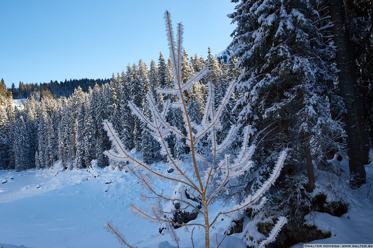  Passeggiata da Obereggen al lago di Carezza con la neve