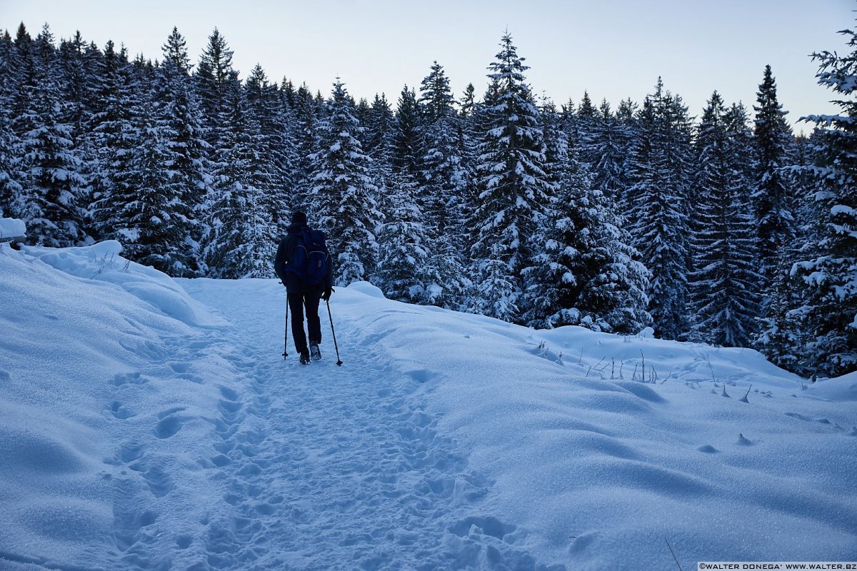  Passeggiata da Obereggen al lago di Carezza con la neve