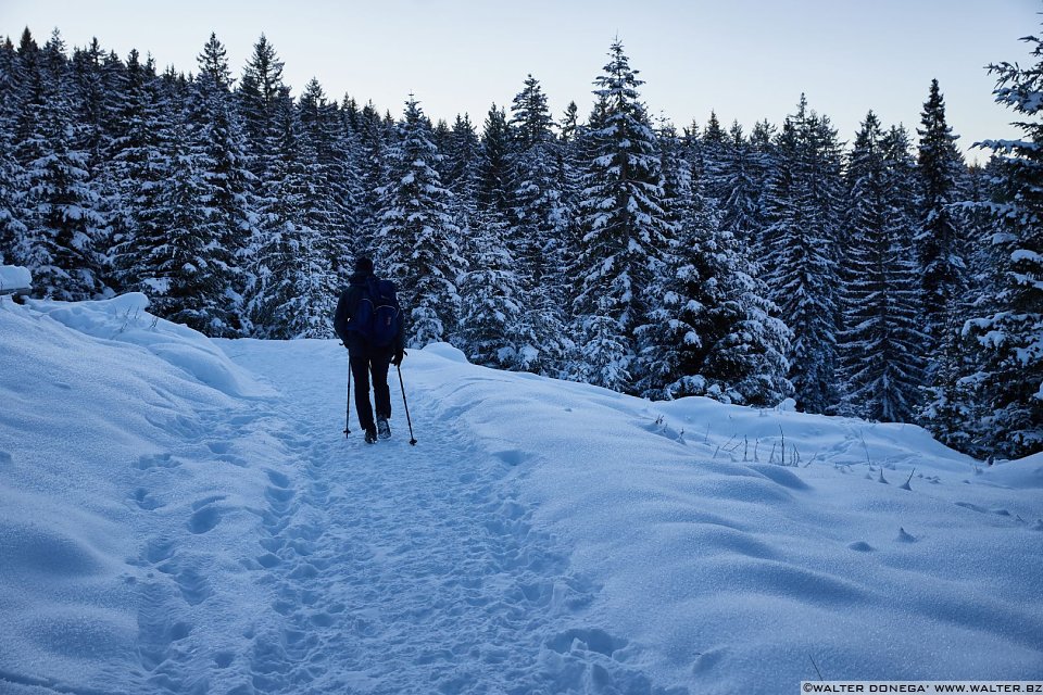 Passeggiata da Obereggen al lago di Carezza con la neve