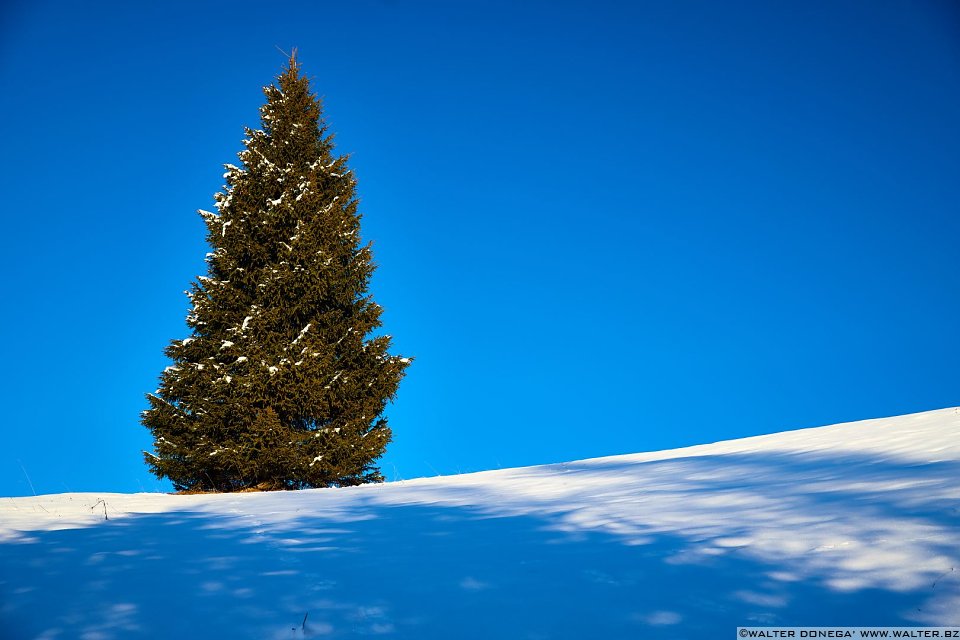 Passeggiata da Obereggen al lago di Carezza con la neve