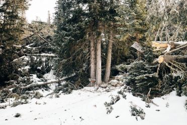 Escursione invernale da Obereggen a Passo Feudo lungo il Latemar