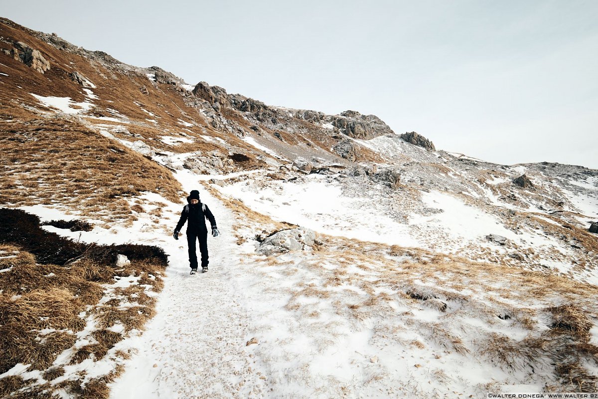 Escursione invernale da Obereggen a Passo Feudo lungo il Latemar