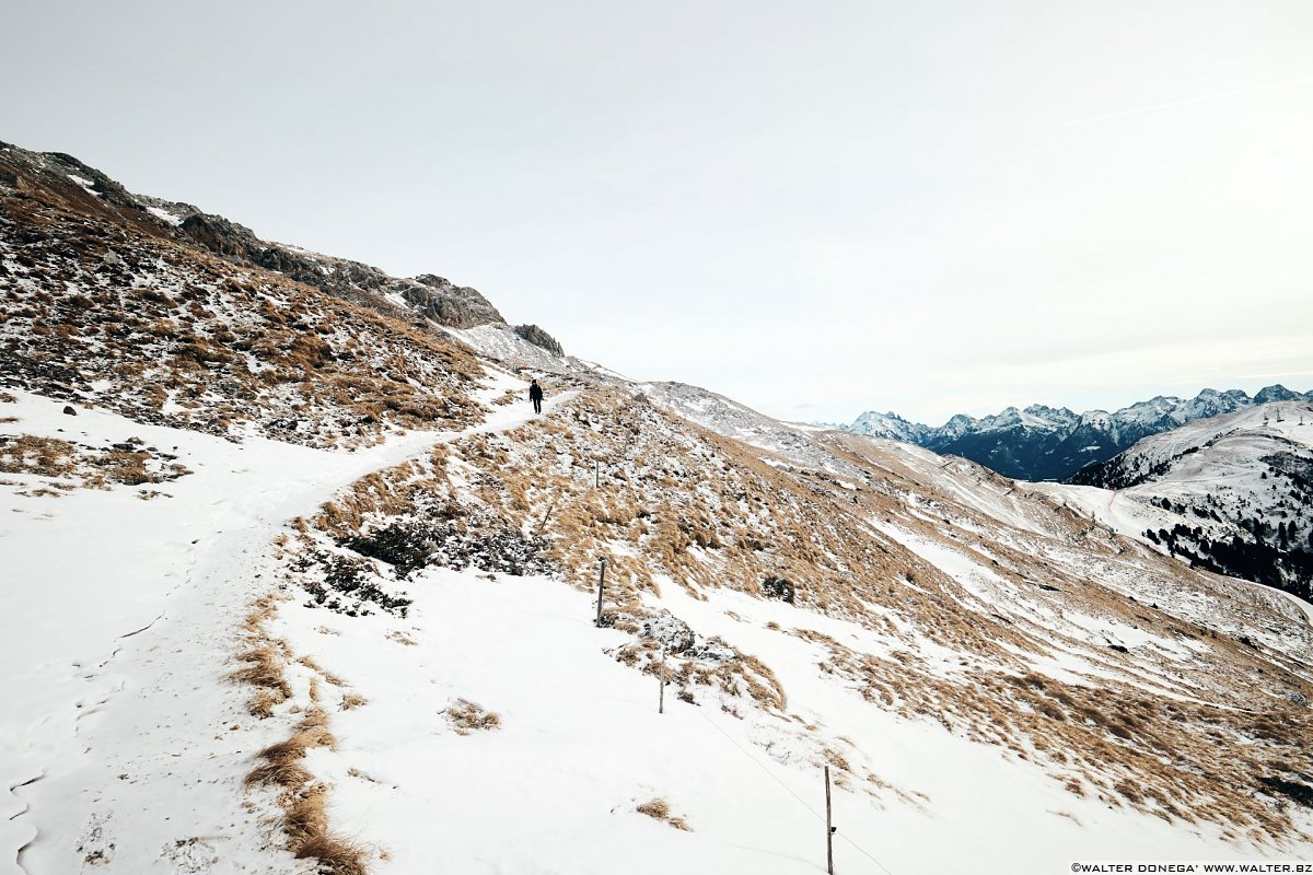 Escursione invernale da Obereggen a Passo Feudo lungo il Latemar