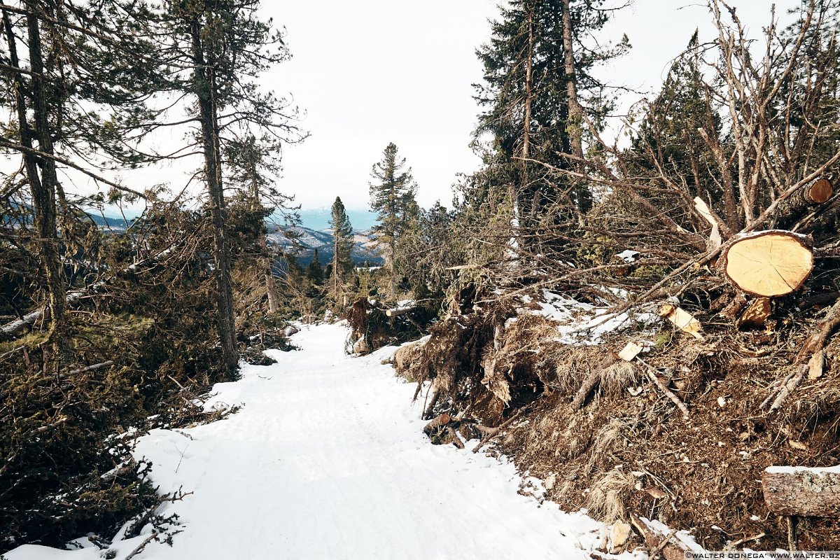 Escursione invernale da Obereggen a Passo Feudo lungo il Latemar