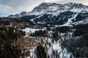 I boschi di Obereggen e Passo Lavazè dopo il disastro