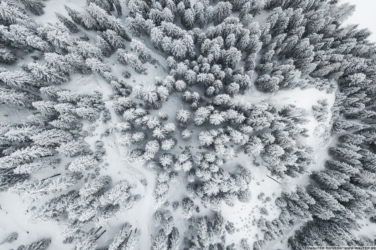 Passeggiata ad Obereggen sul sentiero 11 con la neve