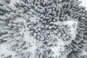 Passeggiata ad Obereggen sul sentiero 11 con la neve