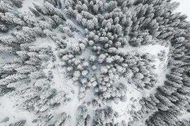 Passeggiata ad Obereggen sul sentiero 11 con la neve
