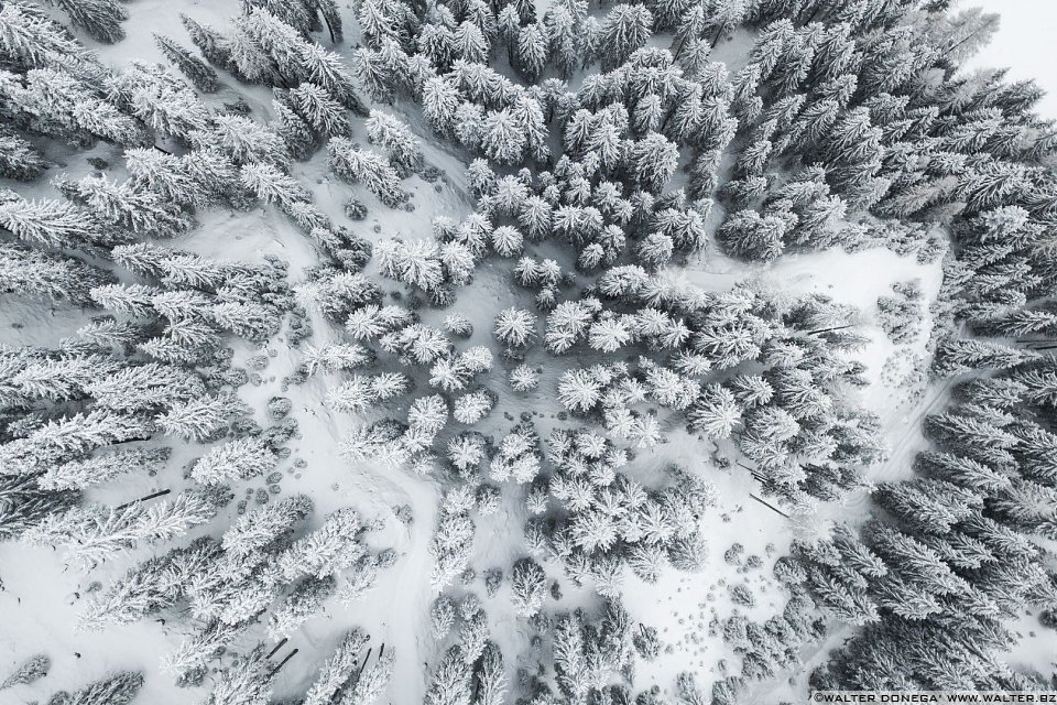 Passeggiata ad Obereggen sul sentiero 11 con la neve